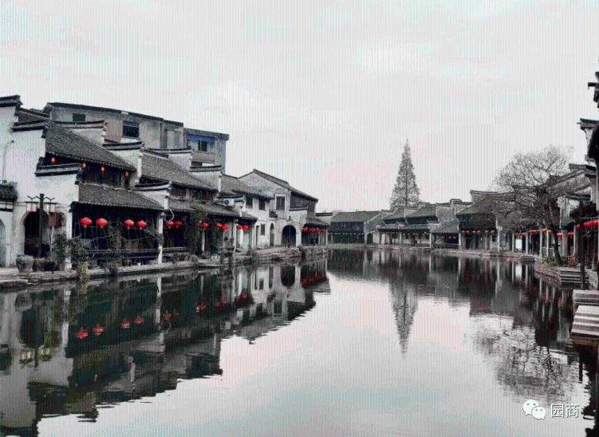 时尚小鸡救援